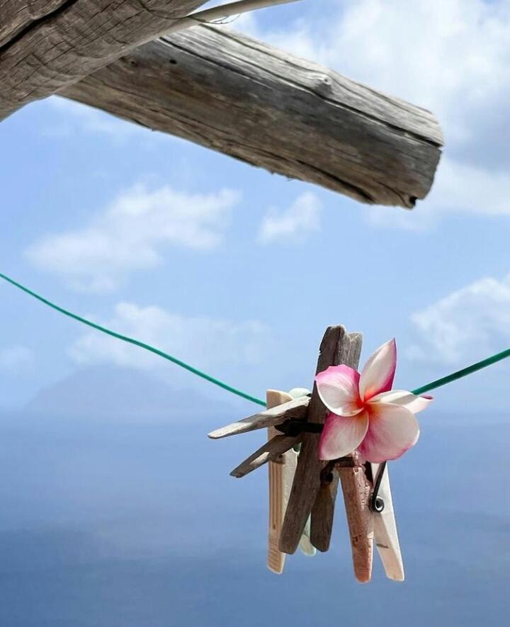 Alice Nel Paese Delle Meraviglie ガヴァルド エクステリア 写真